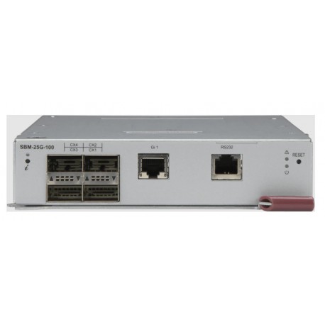 Supermicro Blade Switch SBM-25G-100