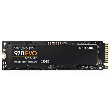 Festplatte SSD Samsung 970 EVO Plus 250GB M.2