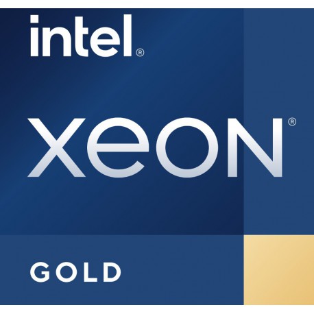 Intel Xeon Gold 6458q Prozessor