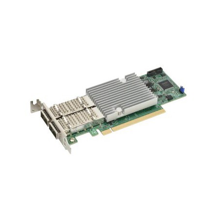 Supermicro AOC-S100G-B2C-Netzwerkkarte