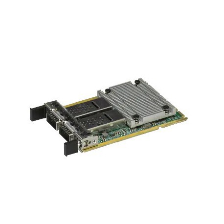 Supermicro AOM AOC-A100G-M2CG-Netzwerkkarte