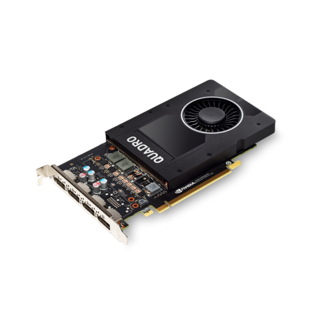 PNY NVIDIA Quadro P2200 5 GB