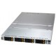 Supermicro-SuperServer ASG-11115S-NE316R